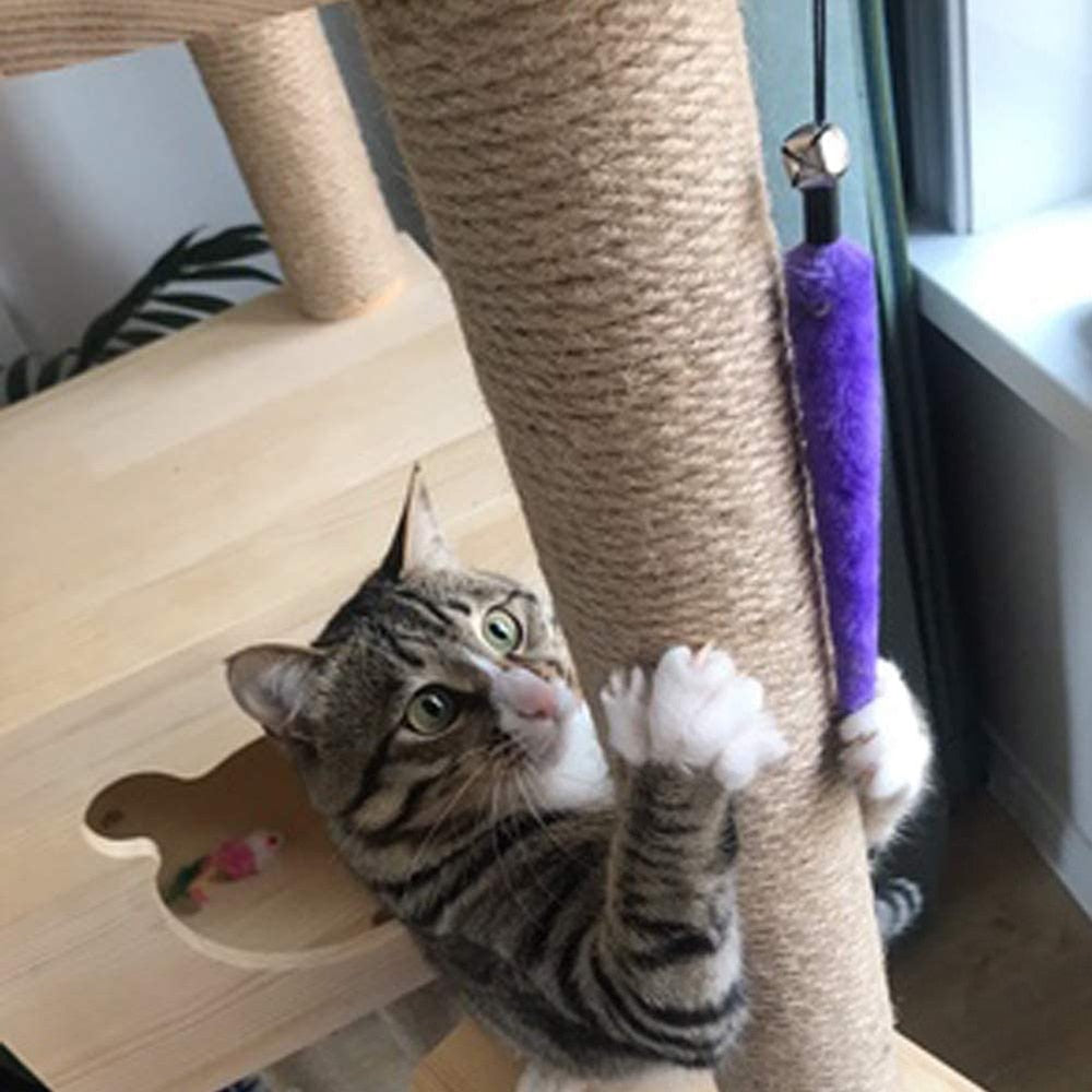 Extendable Feline Fun Wand Set